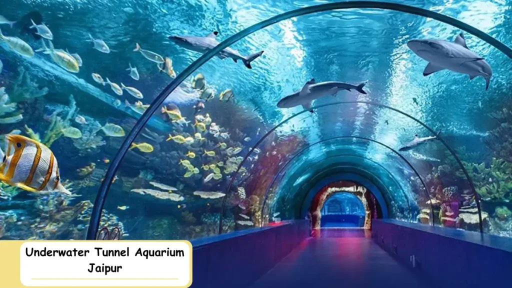 underwater tunnel aquarium jaipur